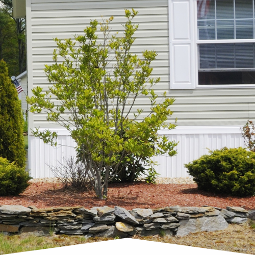 Mobile home skirting